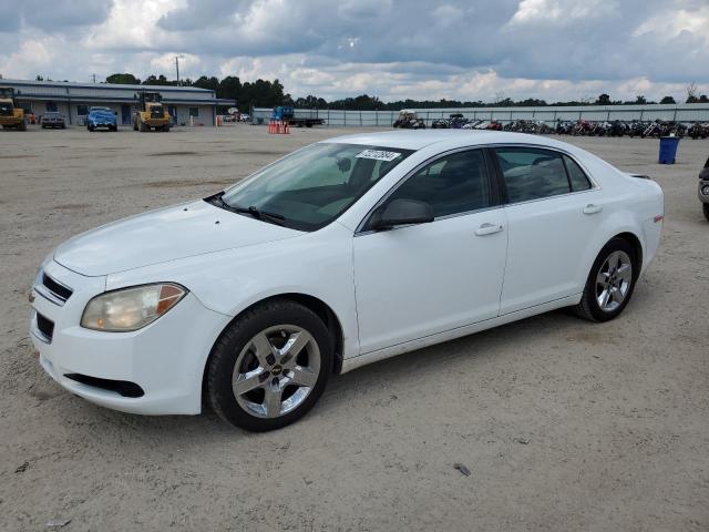 CHEVROLET MALIBU LS 2012 with VIN 1G1ZA5EU2CF290667 - Photo from auction
