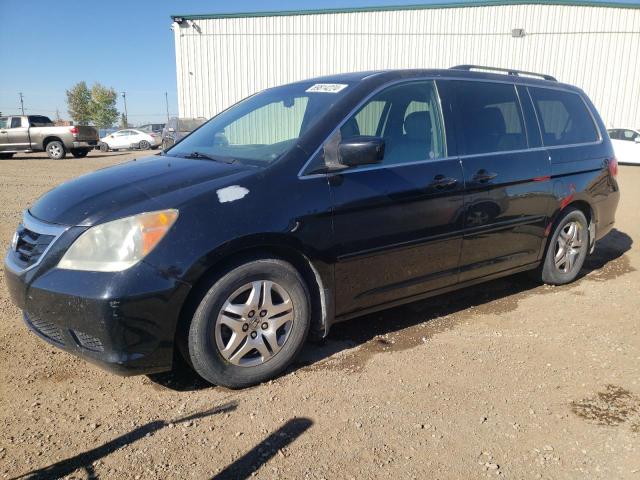 HONDA ODYSSEY EX 2008 with VIN 5FNRL38698B501037 - Photo from auction
