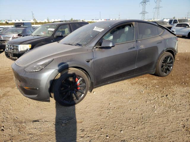 TESLA MODEL Y 2022 with VIN 7SAYGDEF1NF505432 - Photo from auction