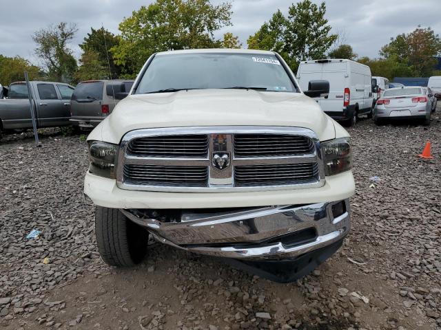 Photo 5 from auction – 2010 DODGE RAM 1500 with VIN 1D7RV1GT3AS226995