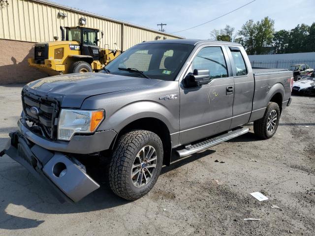 FORD F150 2013 with VIN 1FTFX1EF3DFC45547 - Photo from auction