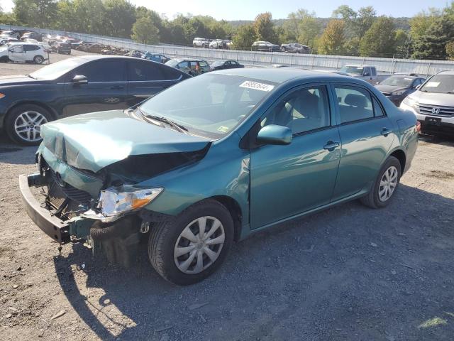 TOYOTA COROLLA BA 2010 with VIN 2T1BU4EE5AC283379 - Photo from auction
