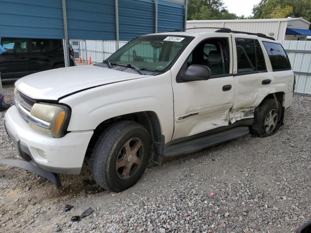 CHEVROLET TRAILBLAZE 2003 with VIN 1GNDS13S132302105 - Photo from auction