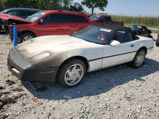 CHEVROLET CORVETTE 1988 with VIN 1G1YY3188J5120675 - Photo from auction