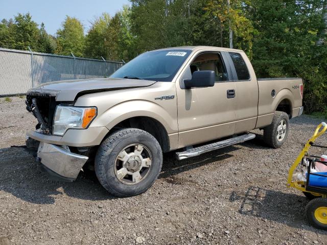 FORD F150 SUPER 2011 with VIN 1FTFX1EF3BFB48975 - Photo from auction