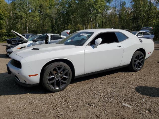 DODGE CHALLENGER 2023 with VIN 2C3CDZAG8PH503500 - Photo from auction