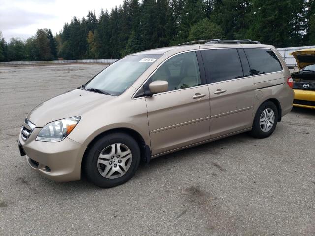 HONDA ODYSSEY EX 2007 with VIN 5FNRL38417B024049 - Photo from auction
