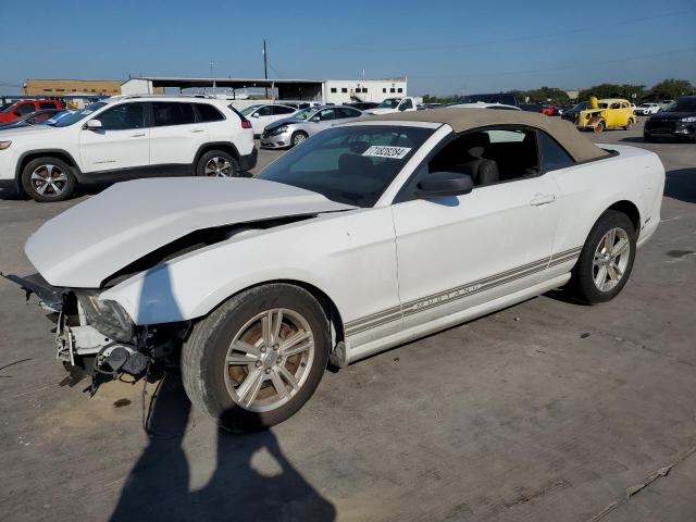 FORD MUSTANG 2014 with VIN 1ZVBP8EM4E5322873 - Photo from auction