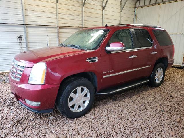 CADILLAC ESCALADE 2010 مع رقم تعريف المركبة 1GYUKAEF0AR120127 - صورة من المزاد