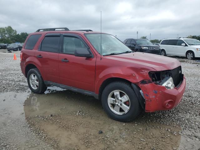 Photo 4 from auction – 2010 FORD ESCAPE XLT with VIN 1FMCU0DG7AKC45338