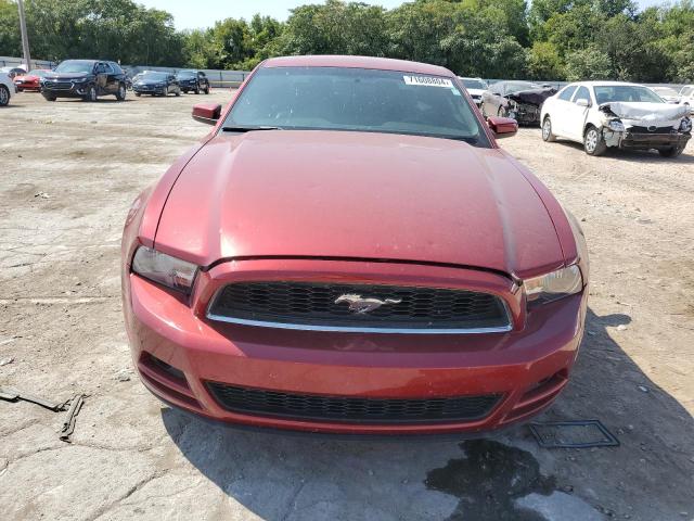 Photo 5 from auction – 2014 FORD MUSTANG with VIN 1ZVBP8AM4E5252376
