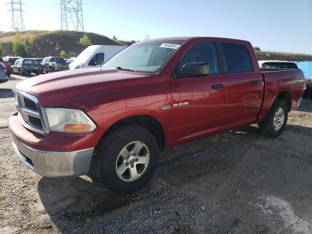 DODGE RAM 1500 2009 with VIN 1D3HV13T59S718958 - Photo from auction