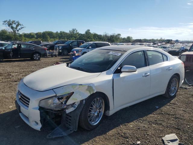 NISSAN MAXIMA S 2010 with VIN 1N4AA5AP5AC869984 - Photo from auction