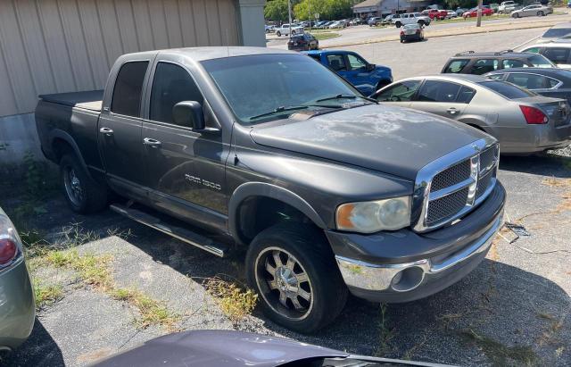 DODGE RAM 1500 2002 with VIN 1D7HU18N02S655205 - Photo from auction