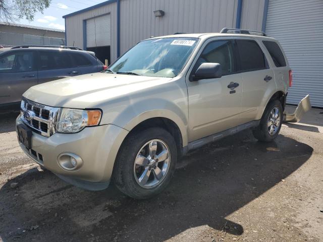 FORD ESCAPE XLT 2011 with VIN 1FMCU0DG0BKC29872 - Photo from auction