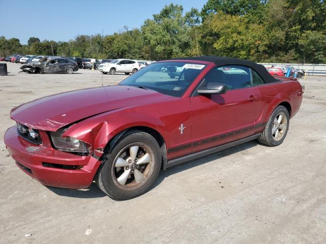 FORD MUSTANG 2007 with VIN 1ZVFT84N275359608 - Photo from auction