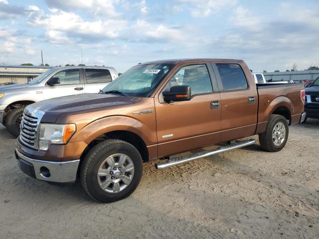 FORD F150 SUPER 2011 with VIN 1FTFW1CT4BFC69395 - Photo from auction