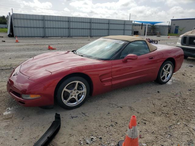 CHEVROLET CORVETTE 2004 with VIN 1G1YY32G045120227 - Photo from auction