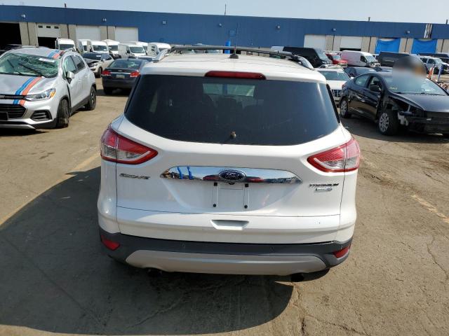 Photo 6 from auction – 2014 FORD ESCAPE TIT with VIN 1FMCU9J92EUC55005