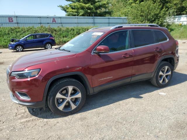 JEEP CHEROKEE L 2019 with VIN 1C4PJMDX9KD374015 - Photo from auction
