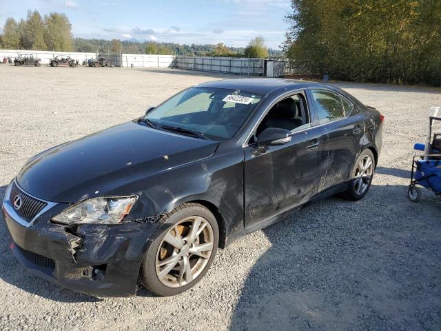 LEXUS IS 250 2009 с VIN JTHBK262295090192 - Фото с аукциона