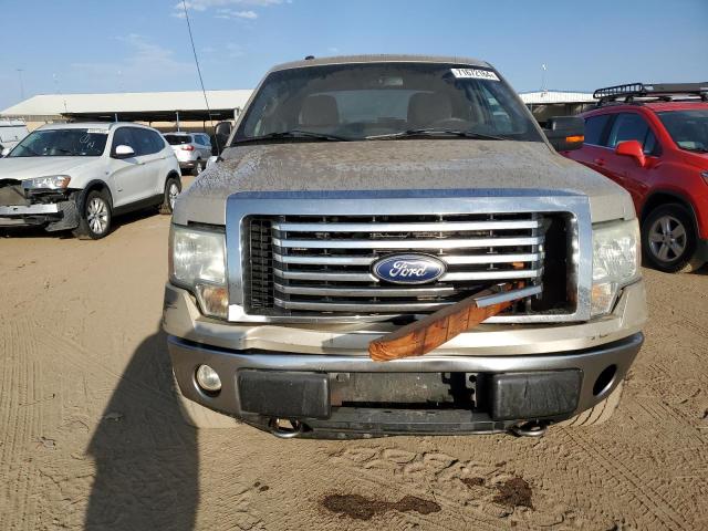 Photo 5 from auction – 2010 FORD F150 SUPER with VIN 1FTFW1EV1AFD04276
