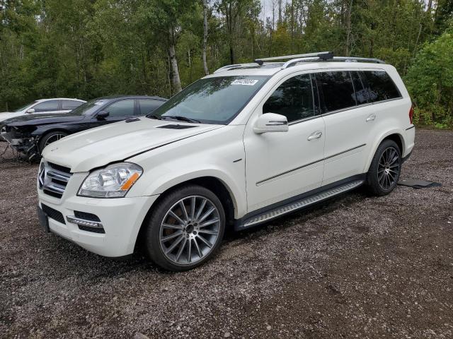 MERCEDES-BENZ GL 350 BLU 2012 with VIN 4JGBF2FE7CA769451 - Photo from auction