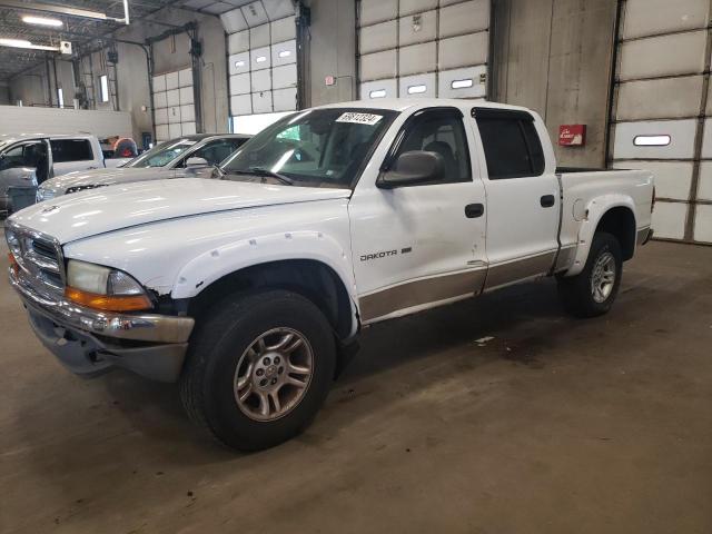 DODGE DAKOTA QUA 2002 with VIN 1B7HG48N62S529837 - Photo from auction
