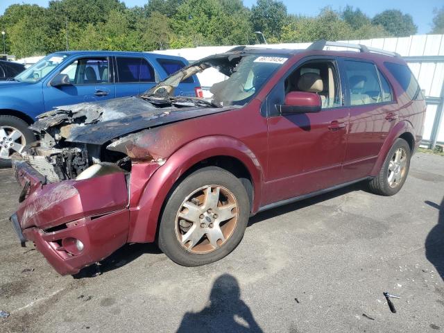 FORD FREESTYLE 2005 with VIN 1FMDK06135GA03447 - Photo from auction
