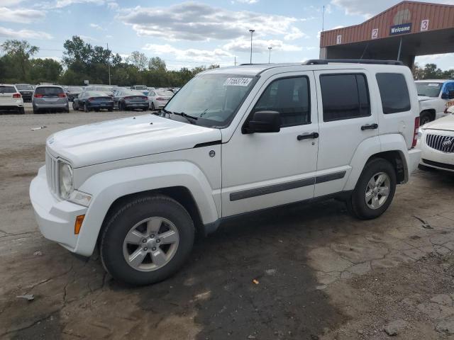 JEEP LIBERTY SP 2011 with VIN 1J4PN2GK7BW566976 - Photo from auction