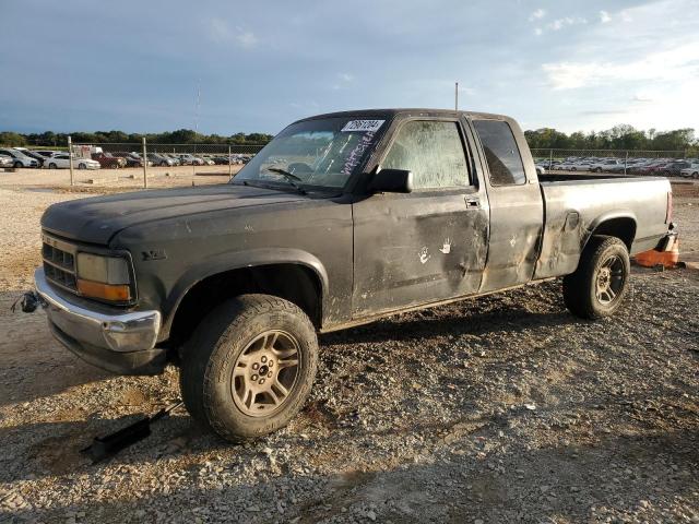 DODGE DAKOTA 1995 with VIN 1B7GG23Y1SS183049 - Photo from auction