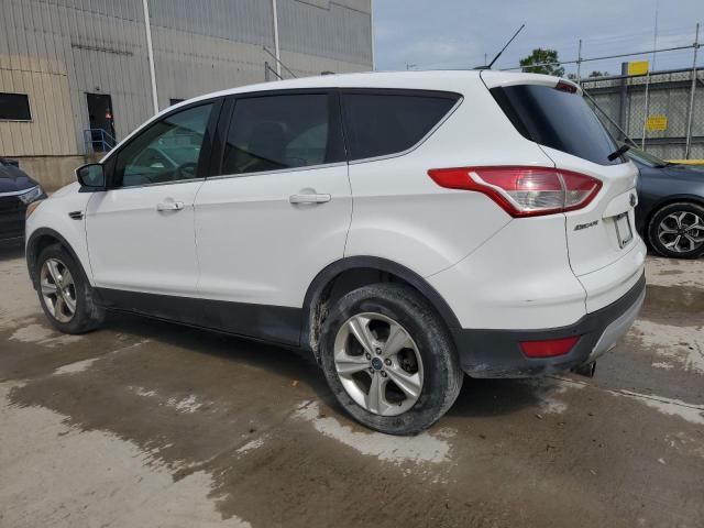 Photo 2 from auction – 2013 FORD ESCAPE SE with VIN 1FMCU0GX6DUA74151