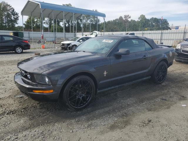 FORD MUSTANG 2008 with VIN 1ZVHT84N385202289 - Photo from auction