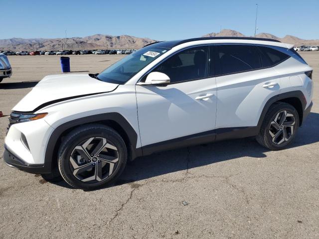 HYUNDAI TUCSON LIM 2023 with VIN 5NMJECAE3PH183180 - Photo from auction