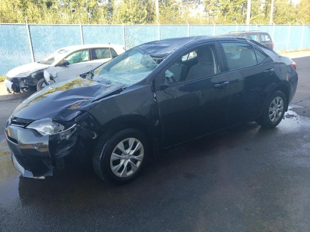 TOYOTA COROLLA L 2016 with VIN 2T1BURHE3GC542016 - Photo from auction