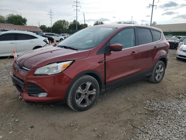 FORD ESCAPE SE 2014 with VIN 1FMCU0GX8EUB57890 - Photo from auction