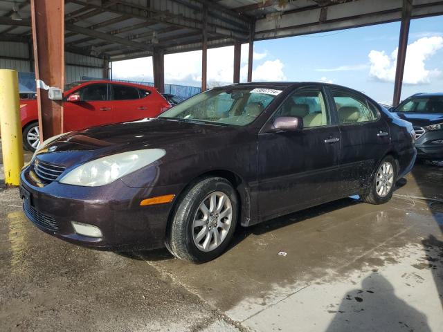 LEXUS ES 300 2003 with VIN JTHBF30G435041226 - Photo from auction