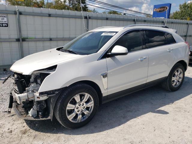 CADILLAC SRX LUXURY 2016 with VIN 3GYFNEE31GS538098 - Photo from auction