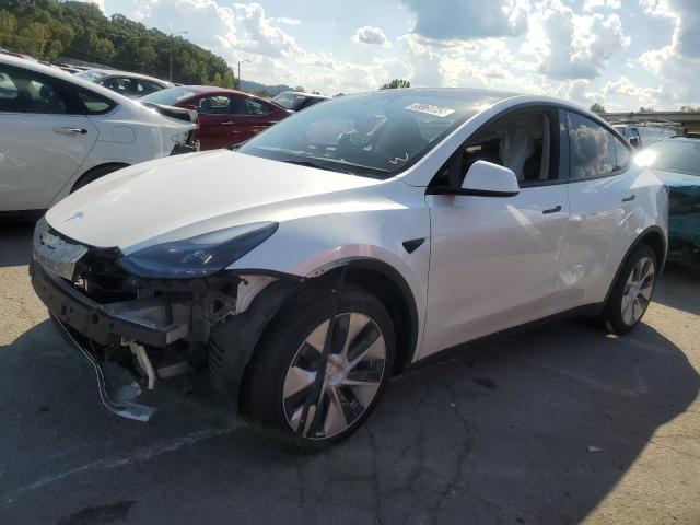 TESLA MODEL Y 2023 with VIN 7SAYGDEEXPF810843 - Photo from auction