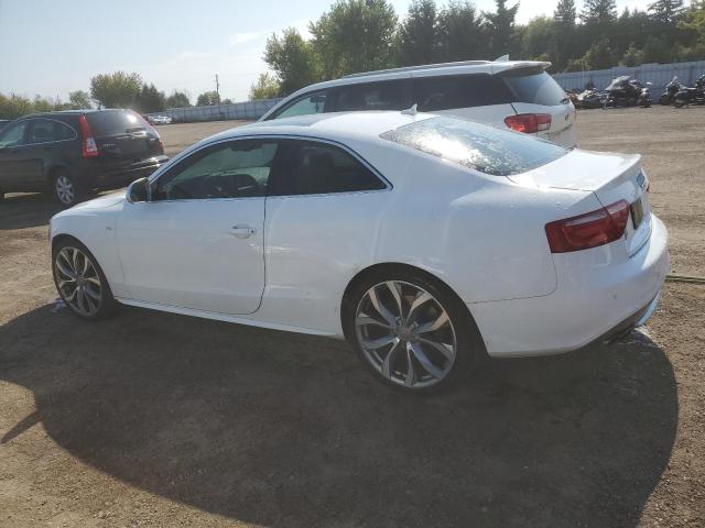 Photo 2 from auction – 2009 AUDI S5 QUATTRO with VIN WAURV68T29A018871