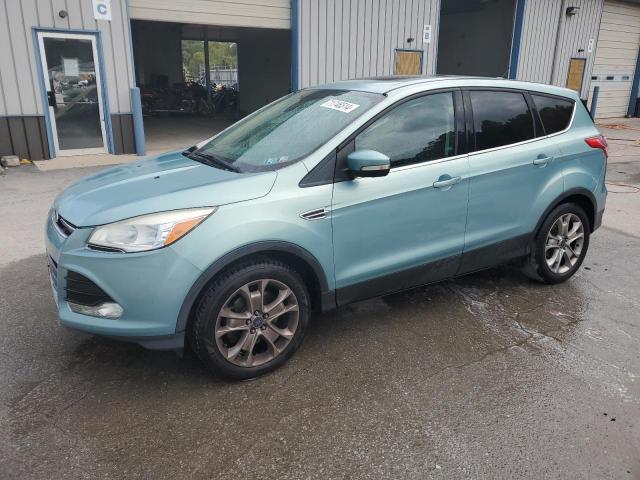 FORD ESCAPE SEL 2013 with VIN 1FMCU0H9XDUB36974 - Photo from auction