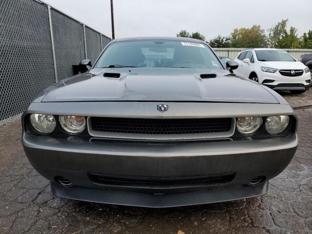 Photo 5 from auction – 2010 DODGE CHALLENGER with VIN 2B3CJ4DV6AH166772