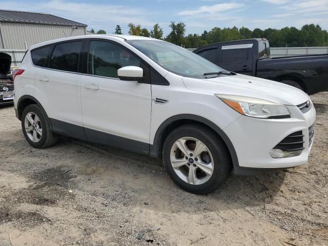Photo 4 from auction – 2014 FORD ESCAPE SE with VIN 1FMCU0GX2EUD06195