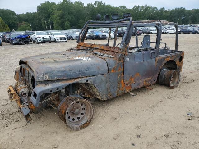 JEEP WRANGLER / 1999 with VIN 1J4FY29P3XP439560 - Photo from auction