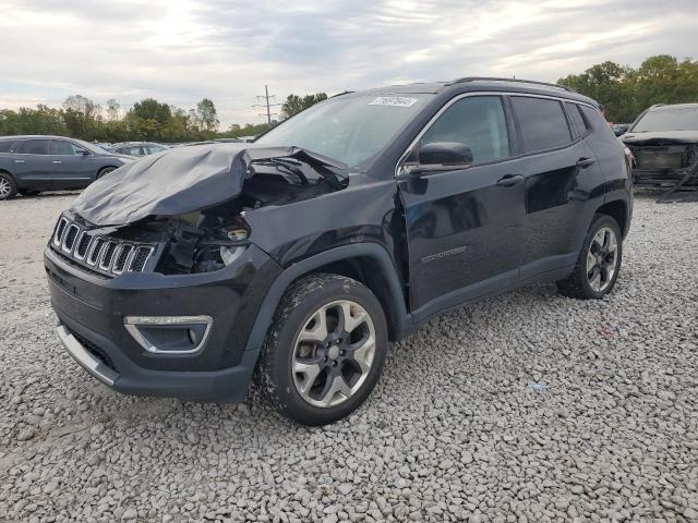 JEEP COMPASS LI 2019 with VIN 3C4NJDCB5KT733805 - Photo from auction
