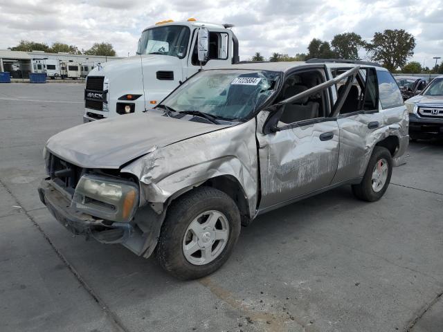 CHEVROLET TRAILBLAZE 2003 with VIN 1GNDS13SX32381449 - Photo from auction
