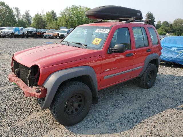 JEEP LIBERTY SP 2003 with VIN 1J4GL48K83W536385 - Photo from auction