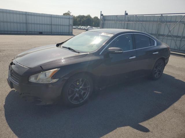 NISSAN MAXIMA S 2011 with VIN 1N4AA5AP6BC824909 - Photo from auction