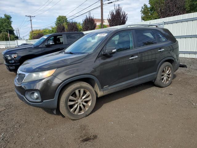 KIA SORENTO EX 2011 with VIN 5XYKUDA25BG098329 - Photo from auction