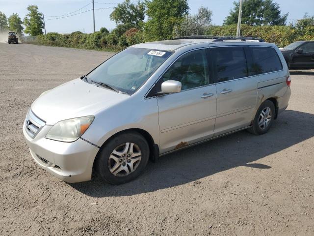 HONDA ODYSSEY EX 2005 with VIN 5FNRL38675B506555 - Photo from auction